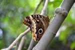 DSC_0162.JPG