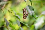 DSC_0212.JPG