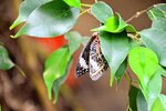 DSC_0153.JPG
