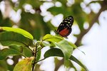DSC_0164.JPG