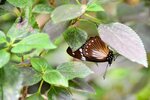 DSC_0258.JPG