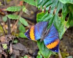 DSC_0234.JPG