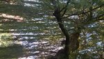 20160810_183632_Richtone(HDR).jpg