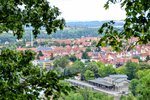 DSC_0103.JPG
