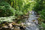 DSC_0110.JPG