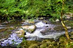 DSC_0230.jpg