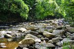 DSC_0076.JPG
