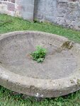 IMG-20180704-WA0004.jpg