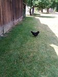 IMG-20180804-WA0005.jpg