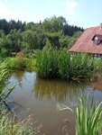 IMG-20180804-WA0008.jpg