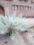 IMG-20180804-WA0016.jpg