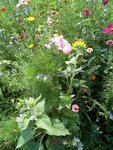 IMG-20180804-WA0021.jpg
