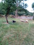 IMG-20180804-WA0012.jpg