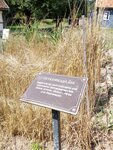IMG-20180804-WA0026.jpg