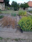 IMG-20180804-WA0019.jpg