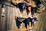 DSC_0381.JPG