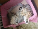 IMG_20180618_130604.jpeg