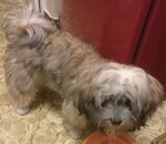 IMG_20180726_231847__01.jpeg