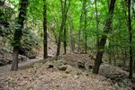 DSC_0062.JPG