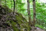 DSC_0648.JPG