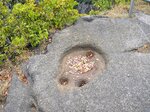 DSC_0285.JPG