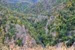 DSC_0276.JPG