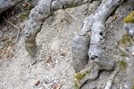 DSC_0158.JPG