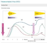 HSV1-Reaktivierung.jpg