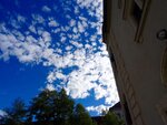 DSC06905.jpg
