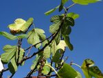 DSC07059.jpg