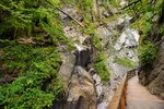 DSC_0090.JPG