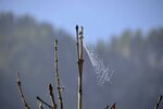 DSC_0174.JPG