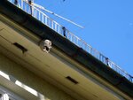 DSC07104.jpg