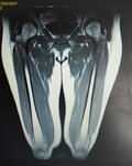 IMG_20181018_114304.jpg