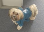 IMG-20181025-WA0004.jpg