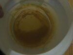 Urin-2_29.10.2018_16.20.jpg