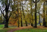 DSC_0328 (1).jpg