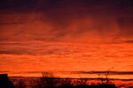 DSC_0297.JPG