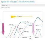 EBV-Reaktivierung.jpg