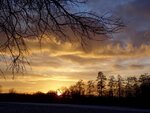 DSC07610.jpg