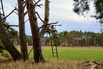 DSC_0100.JPG