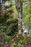 DSC_0529.jpg