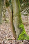 DSC_0206.JPG