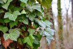 DSC_0048.JPG