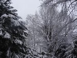 DSC07697 (2).jpg