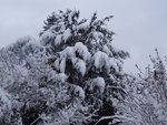 DSC07715.jpg
