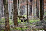 DSC_0225.jpg