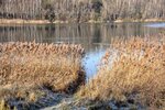 DSC_0320.JPG