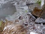 DSC07833.jpg