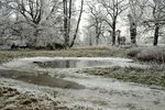DSC_0817.JPG